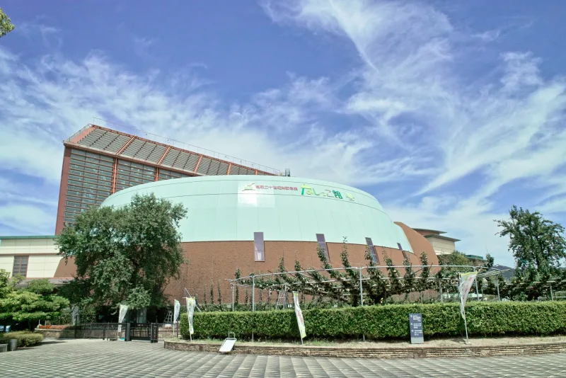 鳥取二十世紀梨記念館「なしっこ館」（鳥取県倉吉市）の展示